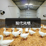 现代风格（图2）