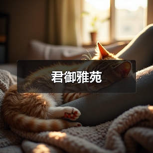 君御雅苑（图3）