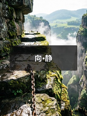 向·静（图2）