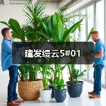 建发缦云5#01（图4）