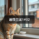 君领兰溪1#02（图2）