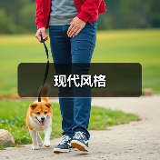 现代风格（图1）