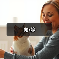 向·静（图1）