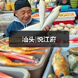 汕头|悦江府（图2）