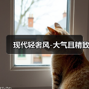 现代轻奢风-大气且精致（图1）