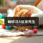 铜锣湾A区余先生（图3）