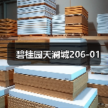 碧桂园天澜城206-01（图2）