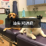 汕头|和通府（图4）
