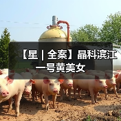 【星 | 全案】晶科滨江一号黄美女（图3）