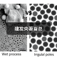 建发央著夏总（图1）