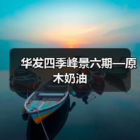 华发四季峰景六期—原木奶油（图1）