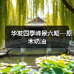 华发四季峰景六期—原木奶油（图2）