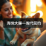 海悦大厦—现代简约（图2）
