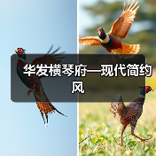 华发横琴府—现代简约风（图4）