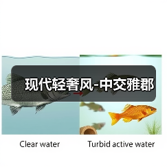 现代轻奢风-中交雅郡（图4）