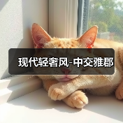 现代轻奢风-中交雅郡（图3）