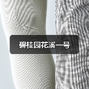 碧桂园花溪一号（图2）