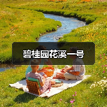 碧桂园花溪一号（图3）