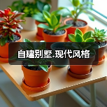 自建别墅.现代风格（图2）