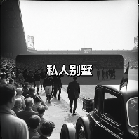 私人别墅（图4）