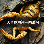 天誉珠海湾—奶油风（图1）