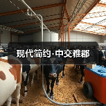 现代简约-中交雅郡（图3）