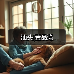 汕头|壹品湾（图4）