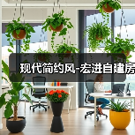 现代简约风-宏进自建房（图1）