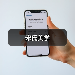 宋氏美学（图3）