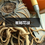 星樾花园（图4）