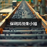 保利鸿悦朱小姐（图3）
