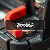 远大美域（图2）