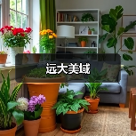 远大美域（图3）