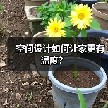 空间设计如何让家更有温度？（图2）