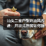 汕头二室户型奶油风改造：开放式厨房如何提升空间感？（图3）