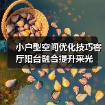 小户型空间优化技巧客厅阳台融合提升采光（图2）