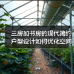 三房加书房的现代简约户型设计如何优化空间布局？（图4）