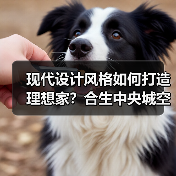 现代设计风格如何打造理想家？合生中央城空间解析（图4）