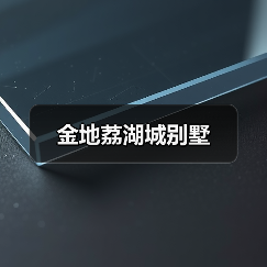 金地荔湖城别墅（图3）