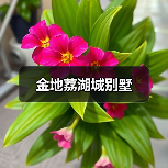 金地荔湖城别墅（图4）