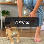 润寿小区（图2）