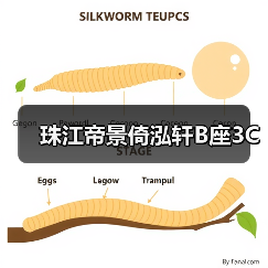 珠江帝景倚泓轩B座3C(图4) 珠江帝景倚泓轩B座3C(图4)