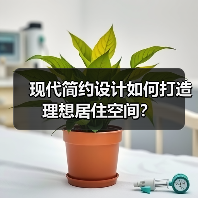 现代简约设计如何打造理想居住空间？（图3）