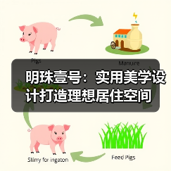 明珠壹号：实用美学设计打造理想居住空间（图1）