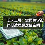 明珠壹号：实用美学设计打造理想居住空间（图4）