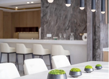 案例赏析：直线与弧线之间的空间对话(图7)