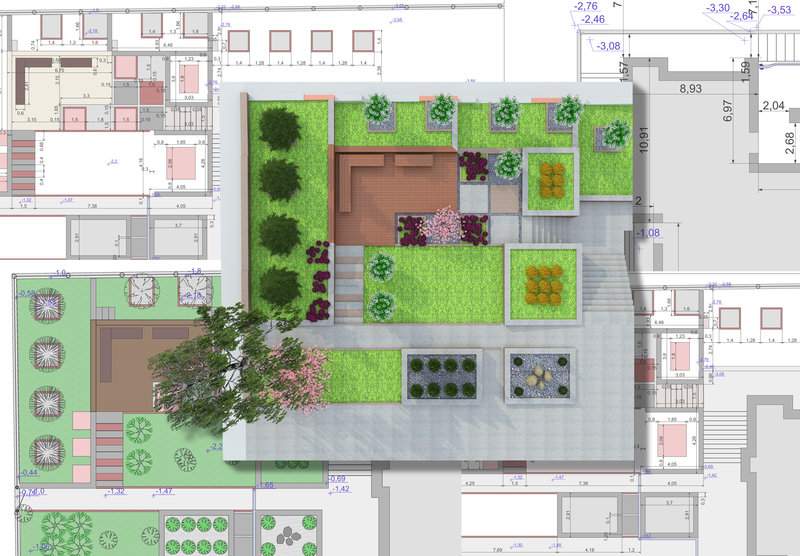 家庭院子种植树木的选择和维护指南