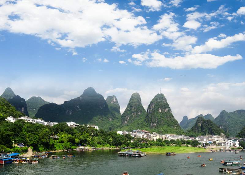 原来绿植摆放有这么多讲究，3个技巧让家焕然一新